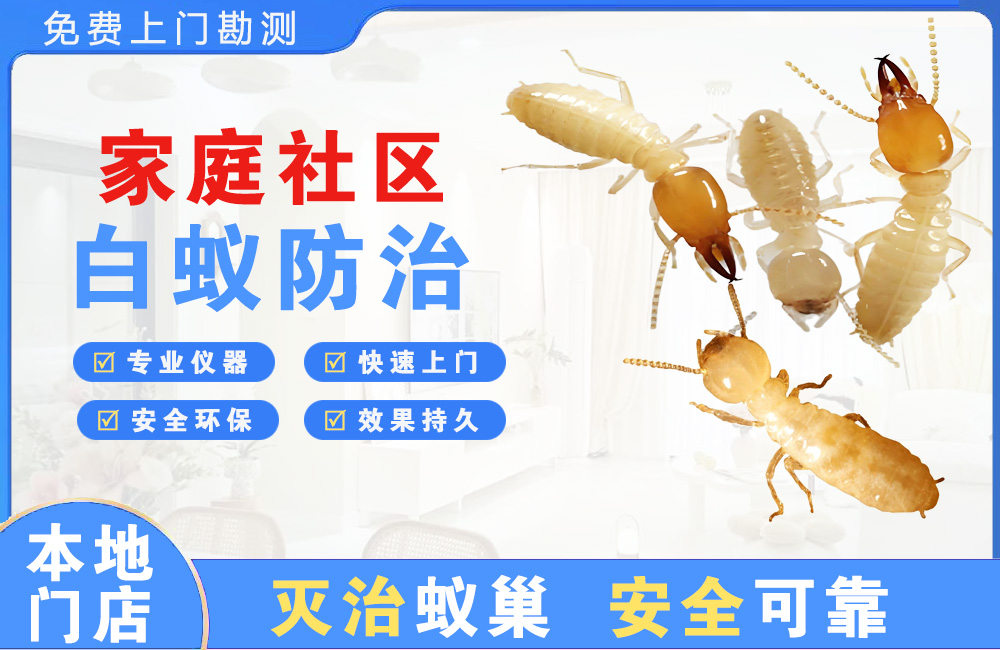 万盛家庭社区白蚁防治
