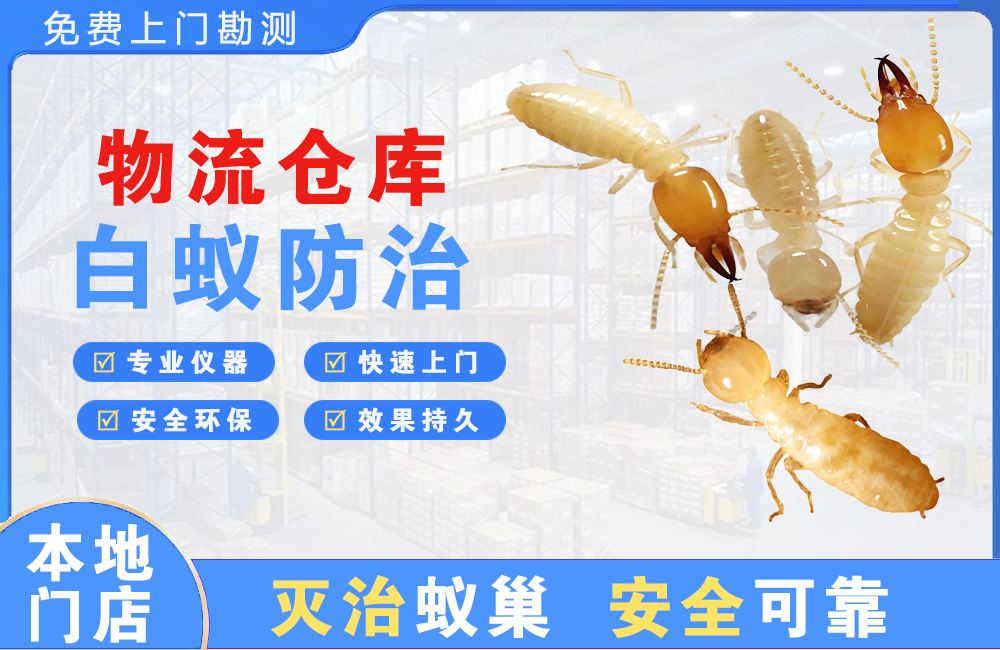 万盛物流仓库白蚁防治