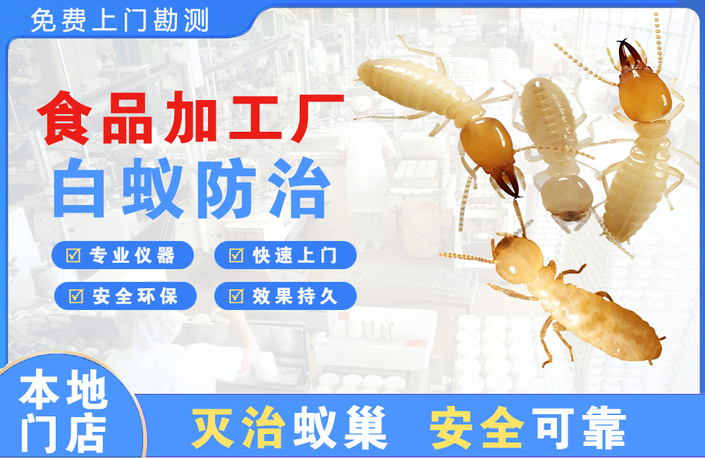 万盛食品加工厂白蚁防治
