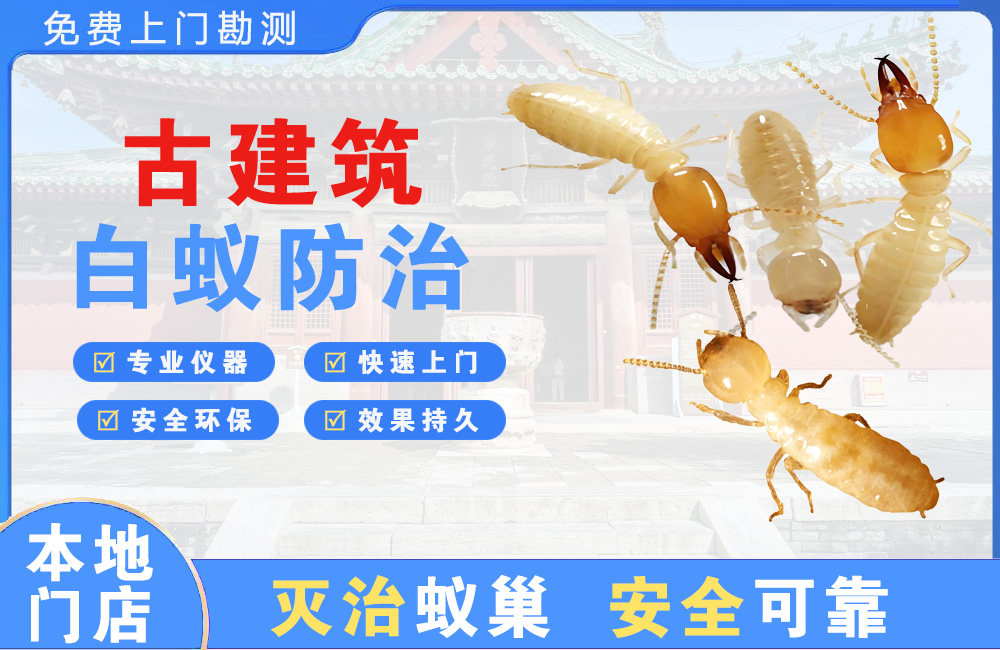 万盛古建筑白蚁防治