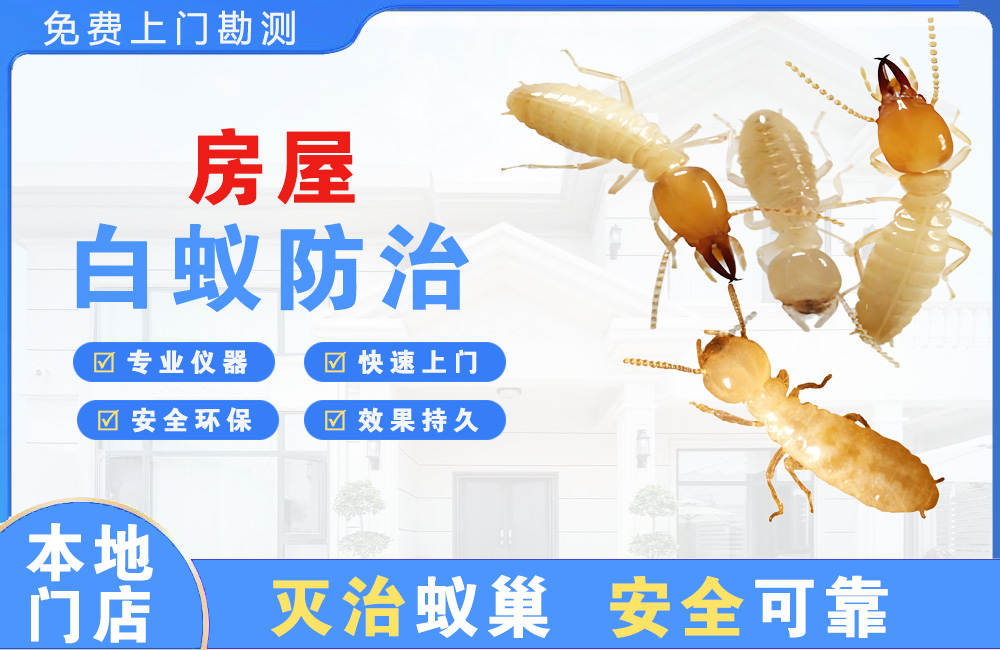 万盛房屋白蚁防治