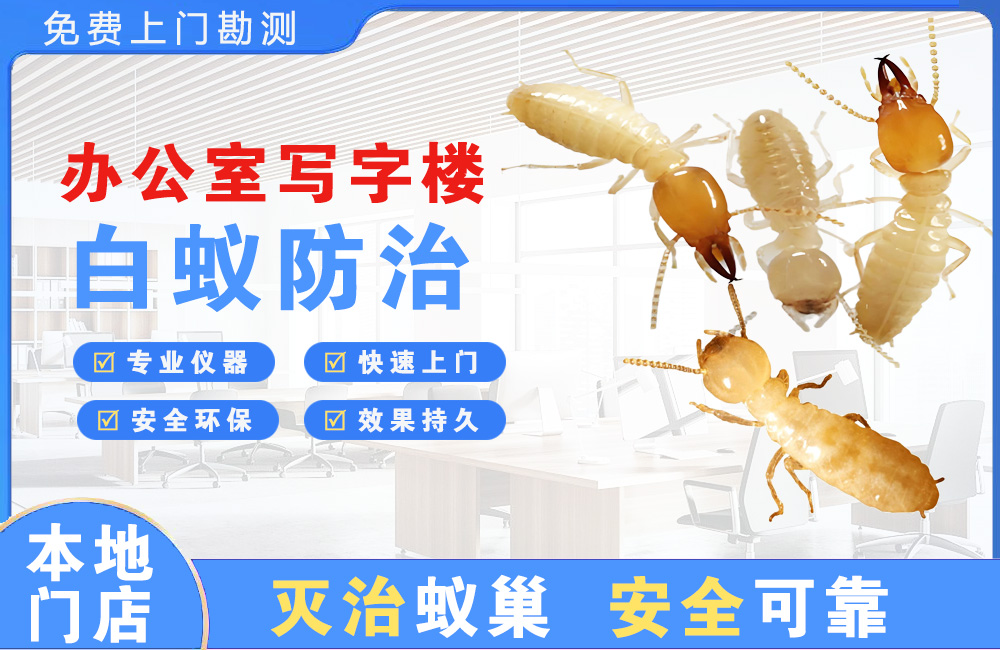 万盛办公室写字楼白蚁防治