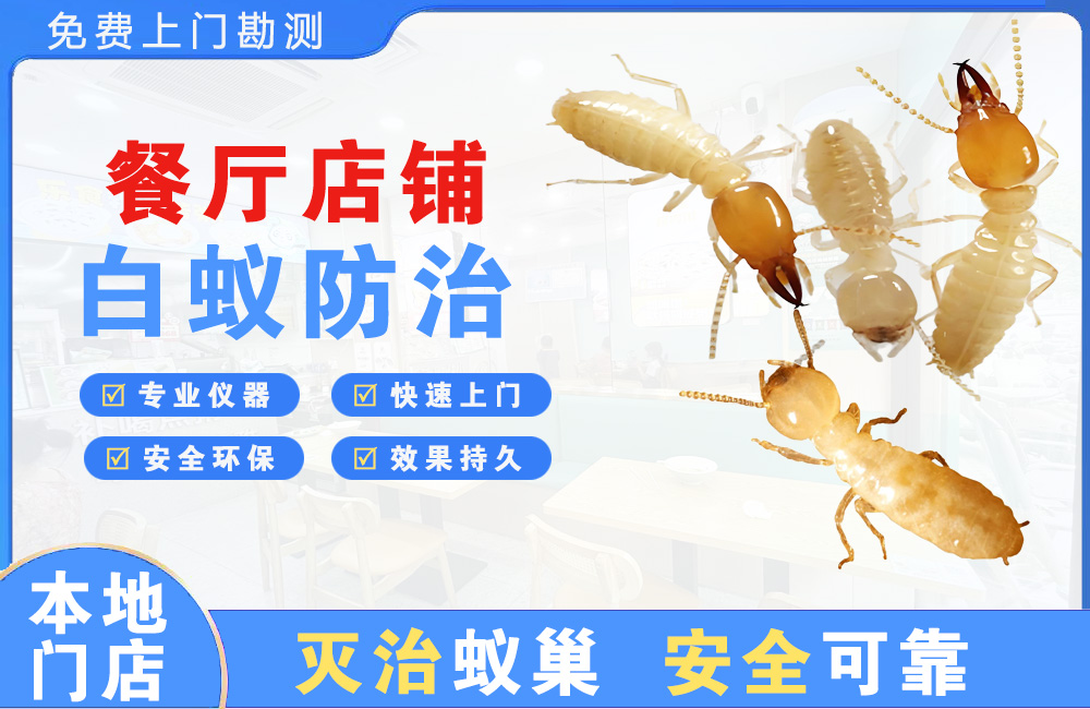 万盛餐厅店铺白蚁防治